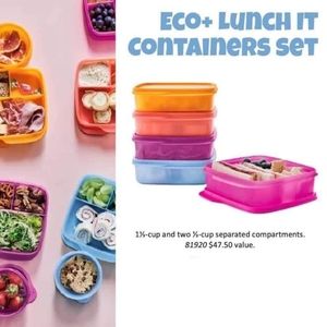 5 Lunch-it containers.
